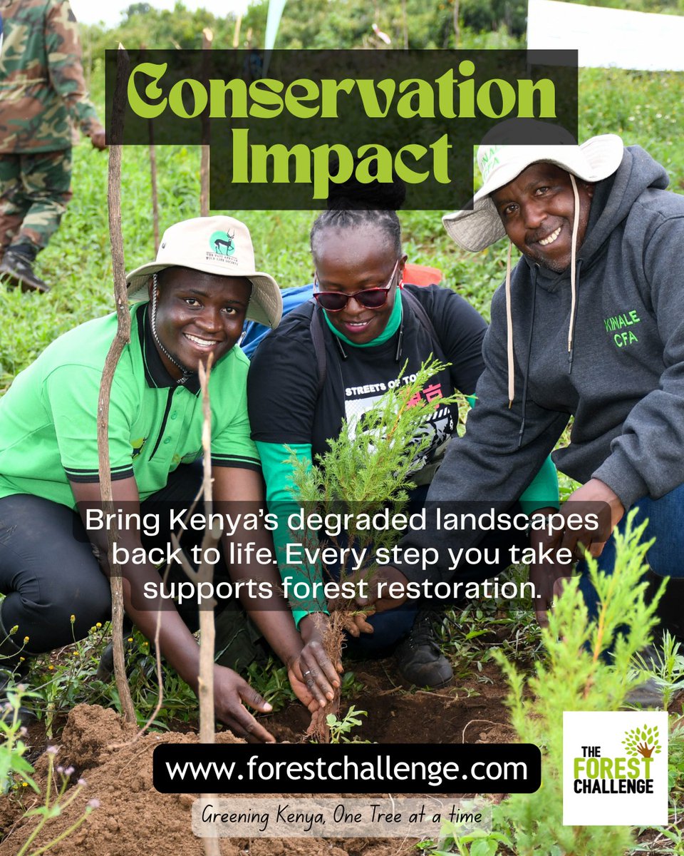 Kijabe Environmental Volunteers tweet media