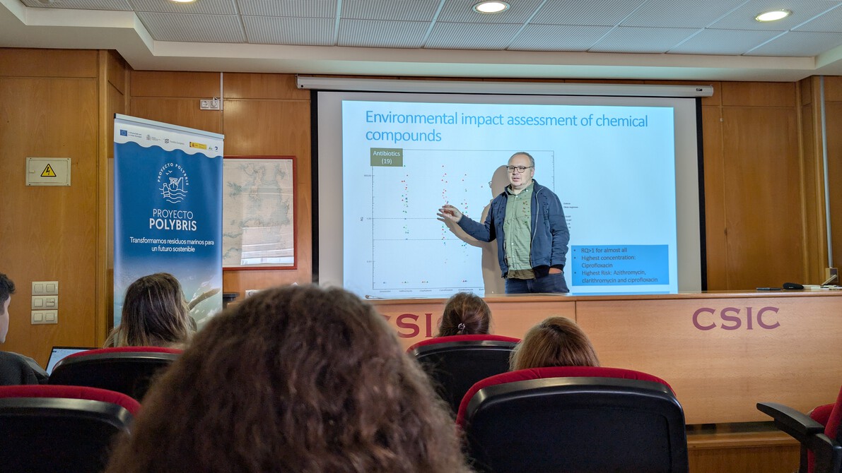 PolybrisPleamar tweet media