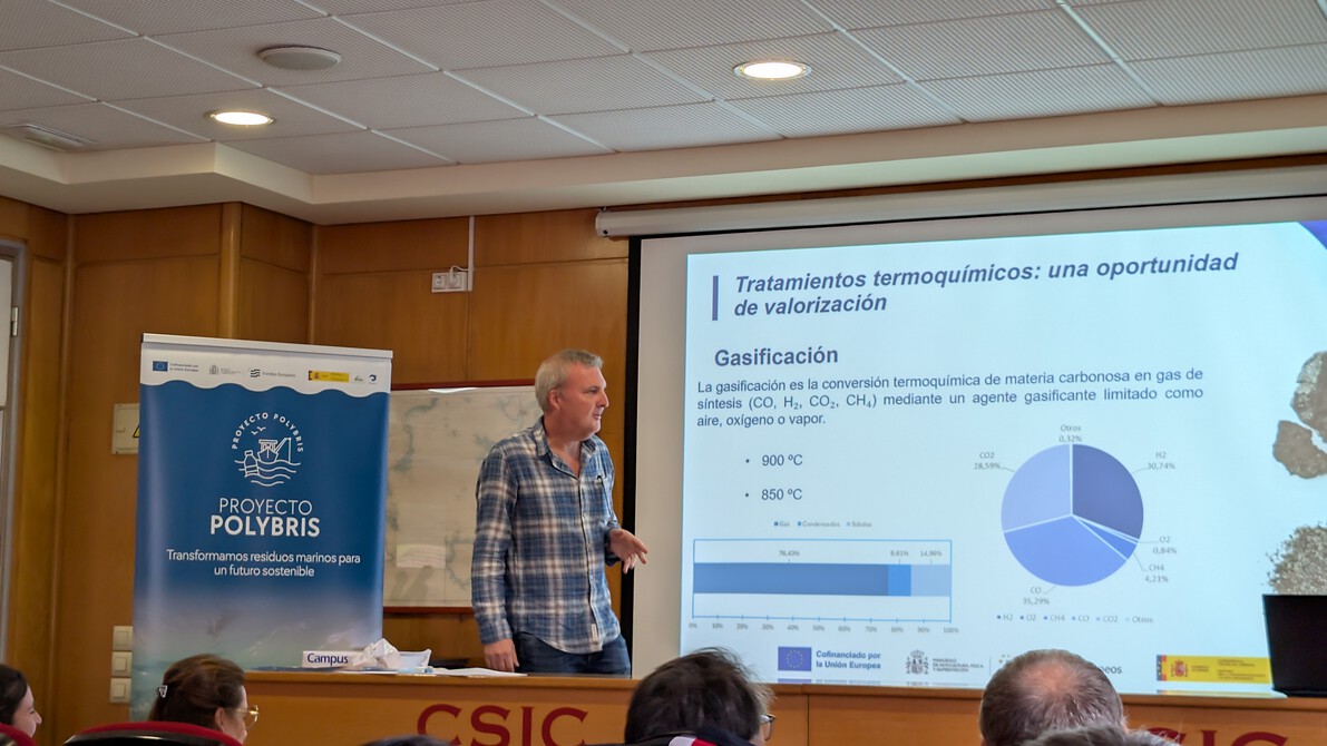 PolybrisPleamar tweet media