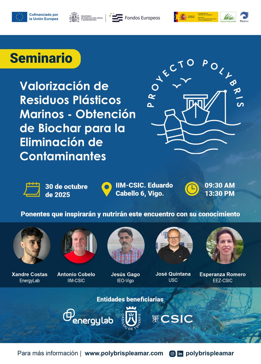 PolybrisPleamar tweet media