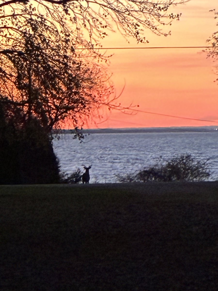 S_Mathuin's tweet image. I don’t fink dis guy was waiting for us to get back from a walk.😉 But it made for a nice picture!