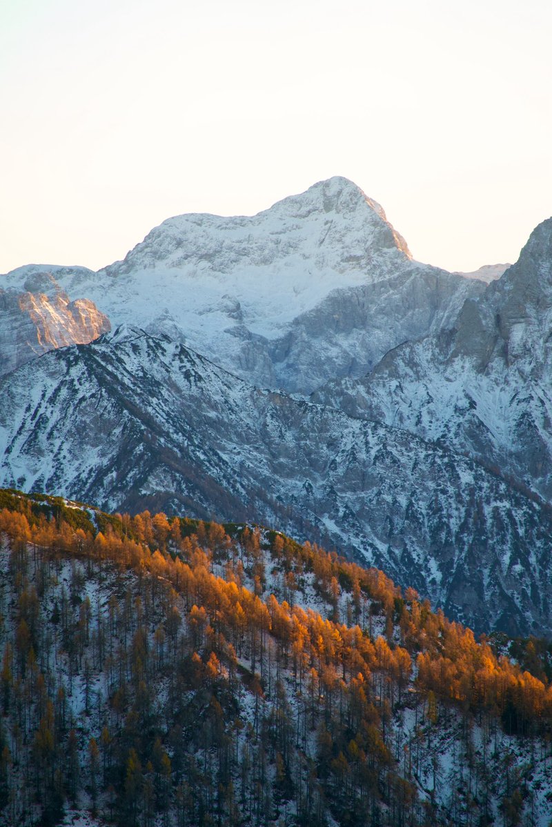 ExploringSlo's tweet image. Our Fairytale Hike in Karavanke is simply magical right now! Picture this: vibrant larch forests stretching endlessly with towering rocky peaks rising majestically in the background.We’d love for you to join us on our next hike here! For more details visit exploringslovenia.com/tours/fairytal…