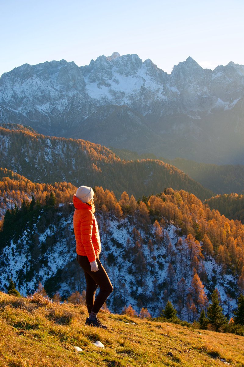 ExploringSlo's tweet image. Our Fairytale Hike in Karavanke is simply magical right now! Picture this: vibrant larch forests stretching endlessly with towering rocky peaks rising majestically in the background.We’d love for you to join us on our next hike here! For more details visit exploringslovenia.com/tours/fairytal…