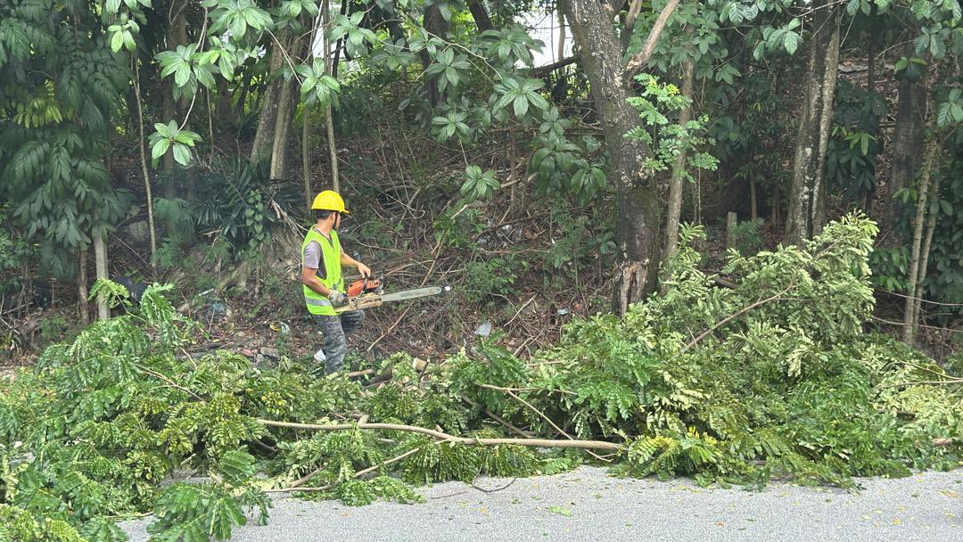 📅Tarikh : 6hb November 2025⁣
⁣
🚧 Kerja-kerja mencantas dan memotong pokok serta lain-lain kerja berkaitan di sebahagian Jalan Raya 2,Seri Kembangan, Daerah Petaling, Selangor Darul Ehsan.

#IAMJKR⁣⁣⁣⁣⁣⁣⁣⁣⁣⁣⁣⁣⁣
#KITAJKRSELANGOR⁣⁣⁣⁣⁣⁣⁣⁣⁣⁣⁣⁣⁣
#KITACEKAP
