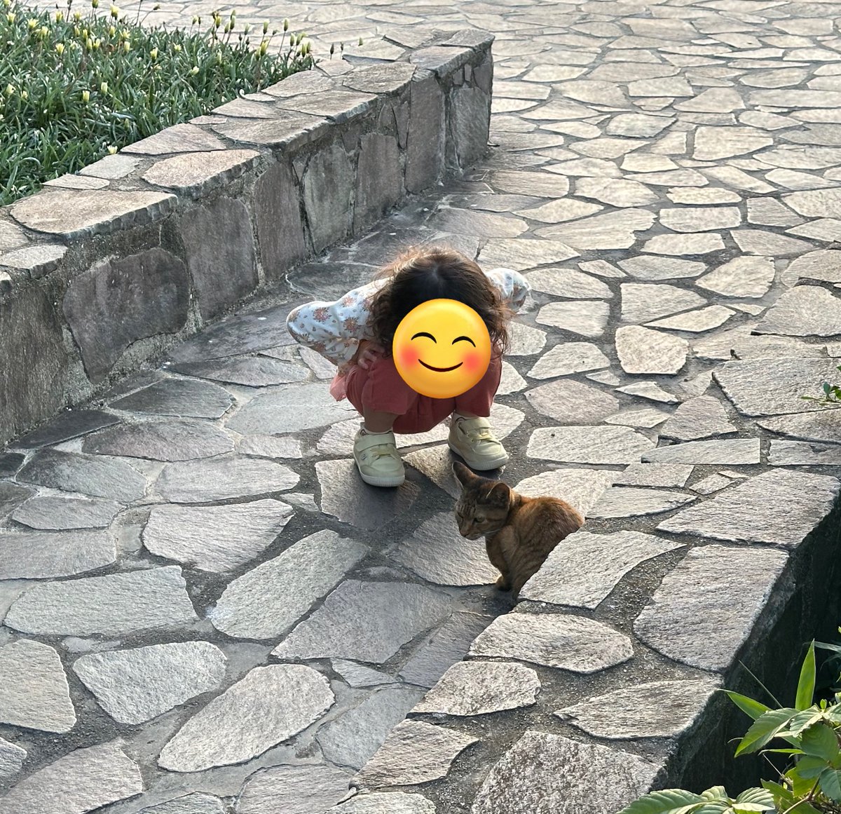 おはようございます。