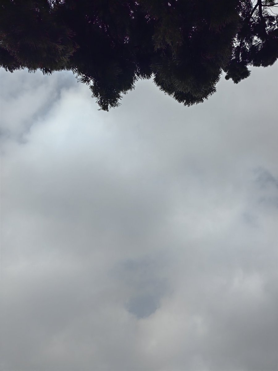 CorevcShort's tweet image. 曇りの日こそ、自分のペースで。焦らず、ゆっくり、前へ。