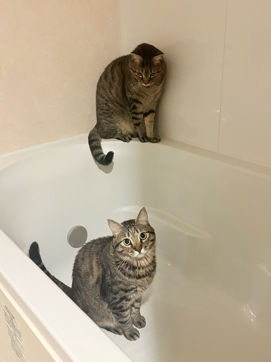 ゆっこ (@yuccobicycle) / Posts / X