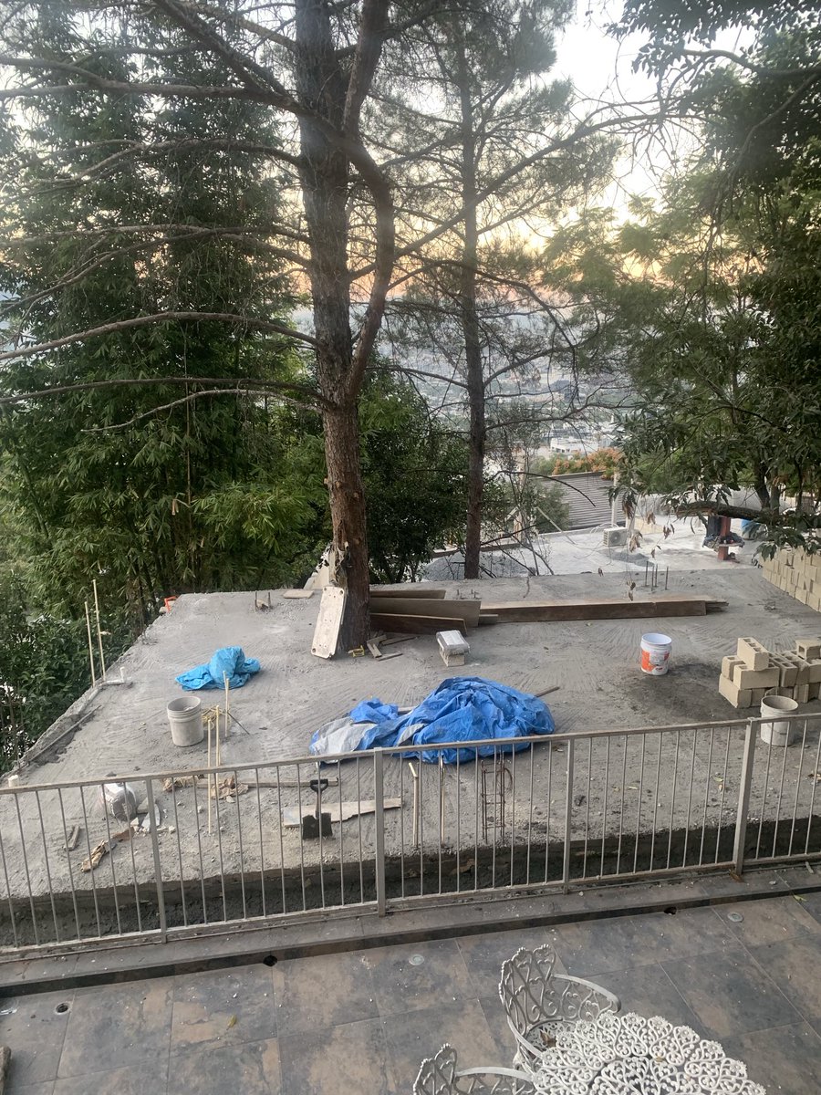 fnevarez1's tweet image. ⁦@elnorte⁩ ⁦@_MutimediosTv⁩ ⁦@FiscaliaNL⁩ ⁦@AnaRent⁩ Aquí él vecino se Valle de San Angel calle Escorial 106 esquina Aranjuez ahorcando un pino centenario con una@loza