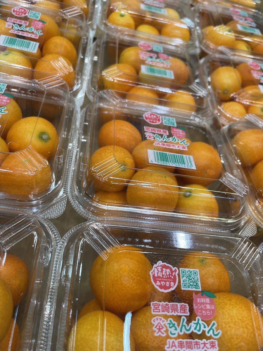 みかんページ① d9a3c1301147eec8e0111b733753f0