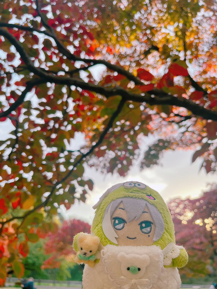 おにく❄️🍑 on X