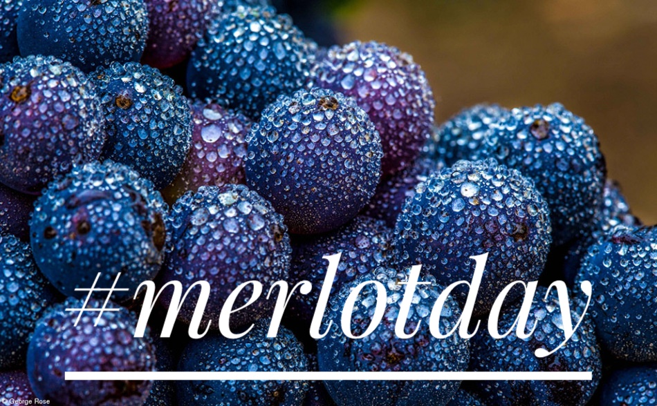 wineworldnews's tweet image. International Merlot Day: What you need to know about Merlot tinyurl.com/y2tskuez #internationalmerlotday #wineworldnews #merlot