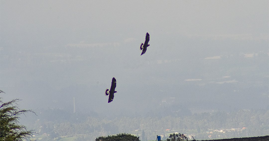 Sandy Espinoza F tweet media