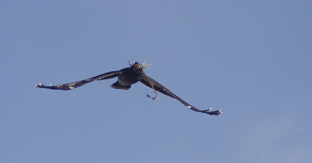 Sandy Espinoza F tweet media