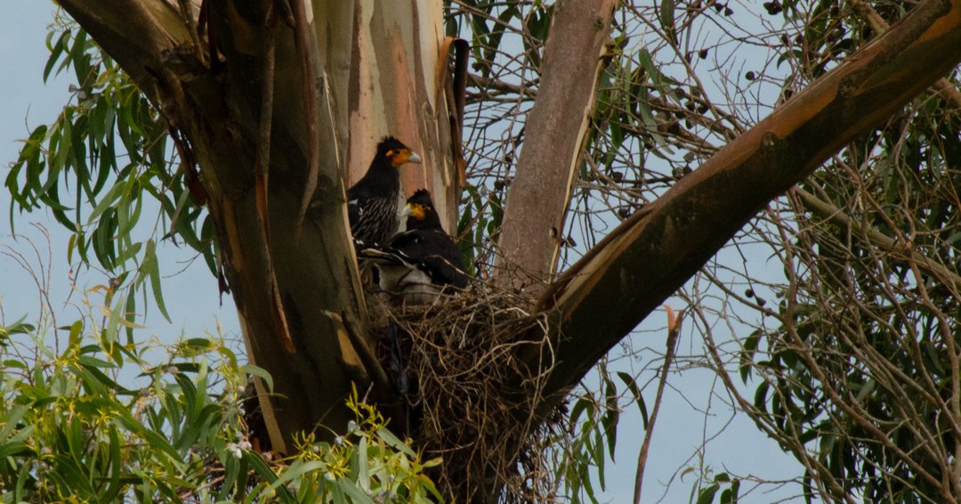 Sandy Espinoza F tweet media