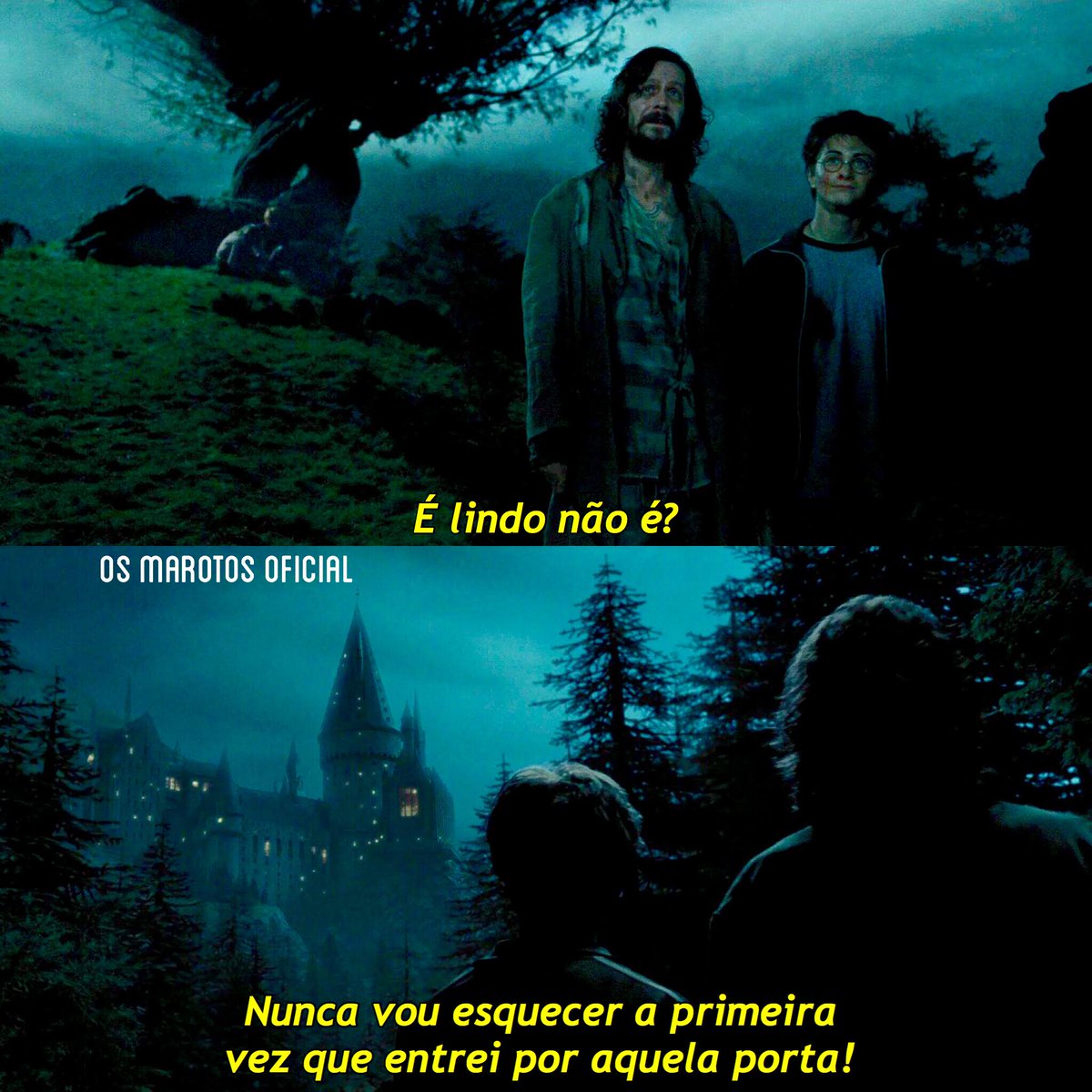 osmarotos_ofi's tweet image. 🥹