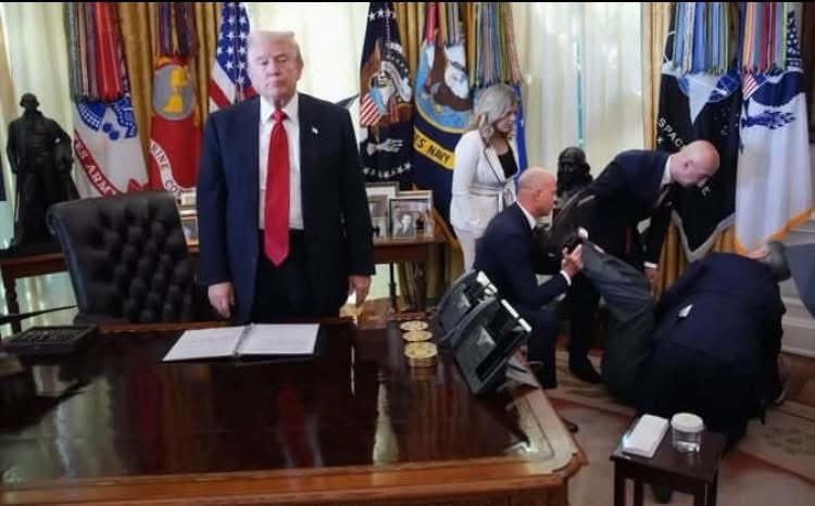 sigvoice's tweet photo. Yes, this is our president. The image captures the moment a pharmaceutical executive collapsed in the Oval Office during a press conference held by Donald #Trump on November 6, 2025. 
#fear #indifference #callousness 
#UnfitToLead 🤮 https://t.co/4Ck0ZbGBHl