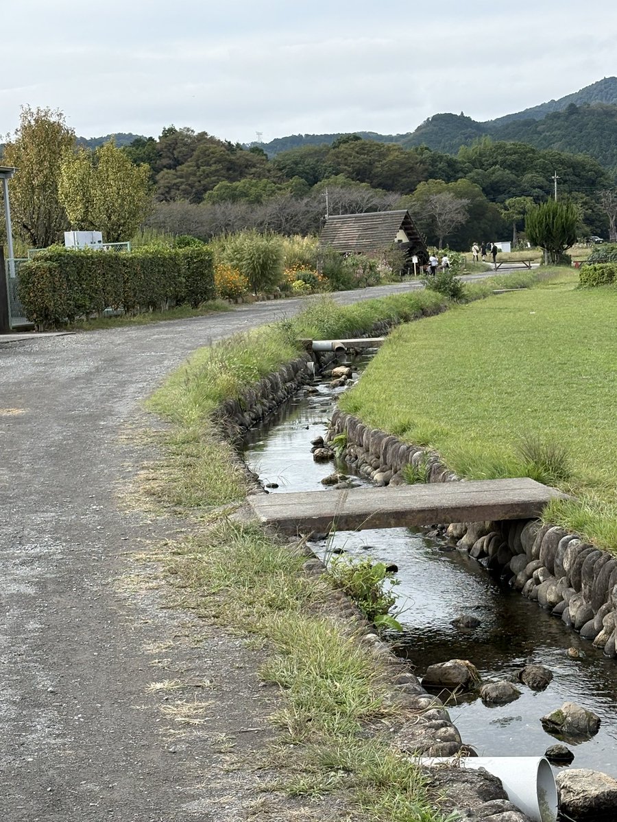 「暗い」「狭い」「高い」「水(海)が恐怖症の私は前世で一体何があったのだろう…？