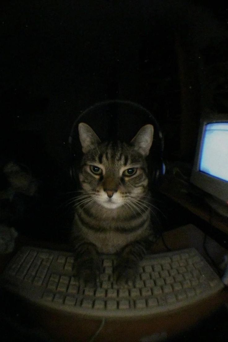 Necesito que los días duren mas de 24 horas