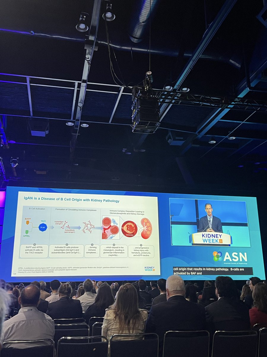 Dr. Hinal Rathi, DO tweet media