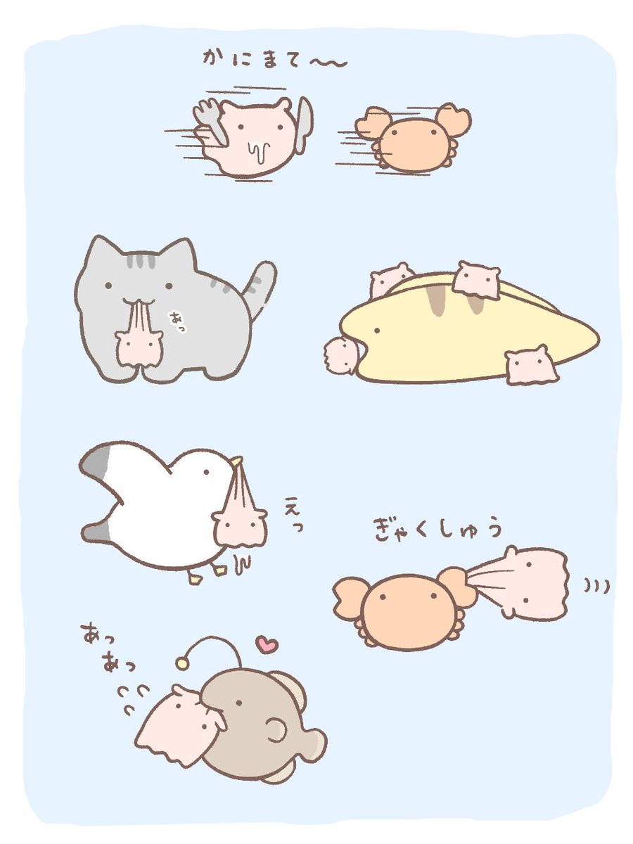 めんだこさま 専用 Amazon.co.jp: メンダコ マグネット Sサイズ 赤 : 文房具