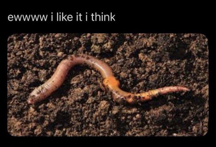 rothko's modern life (@incelish) on Twitter photo 