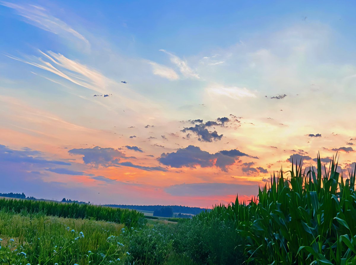 WayneThevisual's tweet photo. ✨Golden Dawn, Nature’s Awakening✨

The rising sun paints the sky in soft orange and pink, casting a warm glow over the trees and fields. Morning mist dances above the grass, and the world awakens in peaceful light.🌅

#sunrise #naturephotography #landscapephotography #kfconcept https://t.co/govEqxlphu
