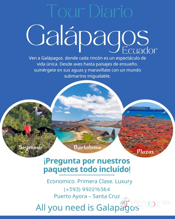 KSaragocin's tweet photo. Conoce a #Galapagos con los mejores Tour dirios #viral #Ecuador 
All you need is Galapagos https://t.co/CJ1cwCSiUl