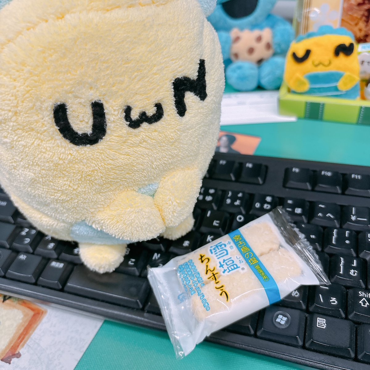 uniform_next's tweet image. おはようございます(｀UωN)
今日の福井の天気は晴れ☀です

沖縄土産でもらった雪塩ちんすこうをおやつにしようかな～と眺めるユニまるさんです(∩UωN)∩

金曜日もがんばるぞい✊️