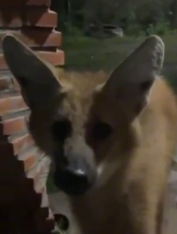 FinestSample's tweet image. Me going to bed at 18:35 only to wake up at 01:00 and realize my sleep schedule is still fucked