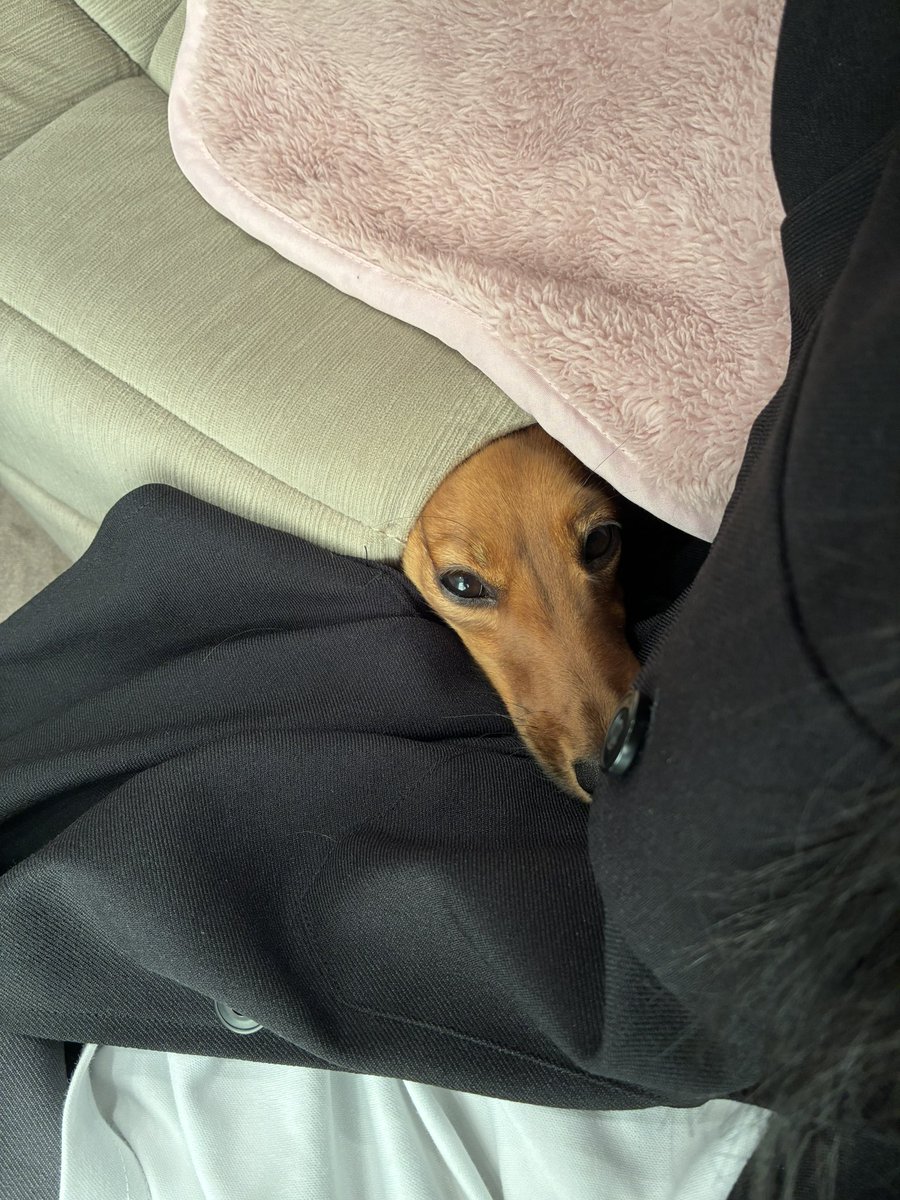 ﾔﾏﾀﾞ tweet media