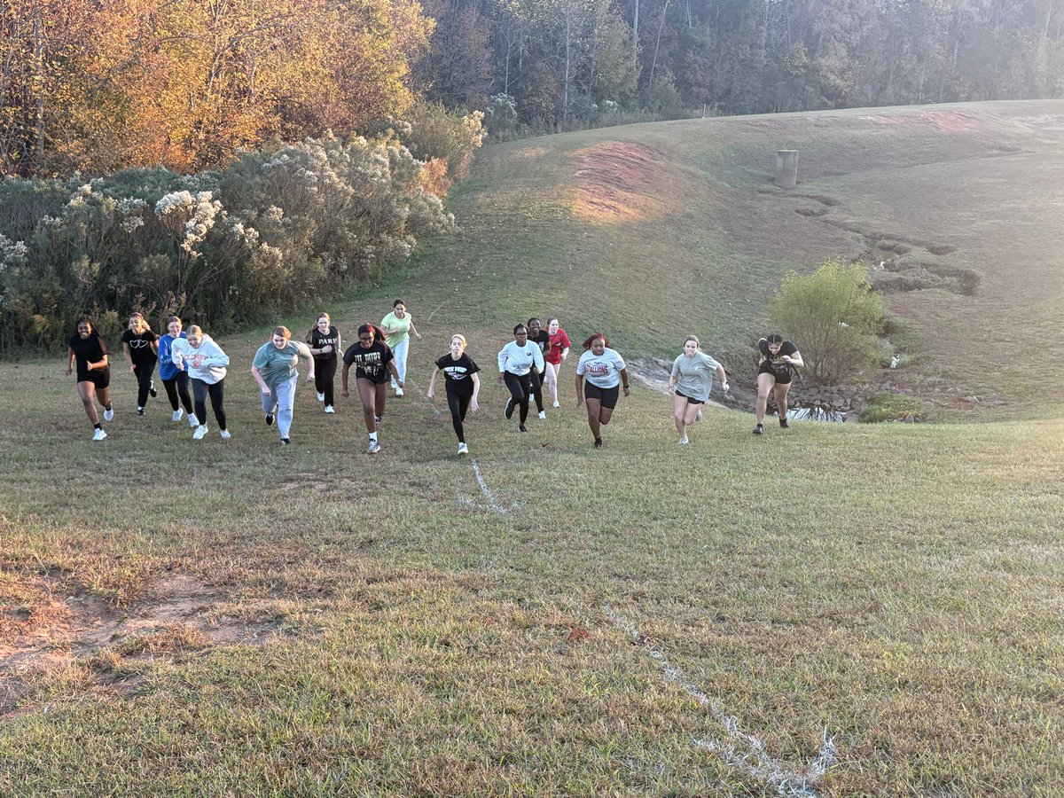 South Pointe Softball tweet media