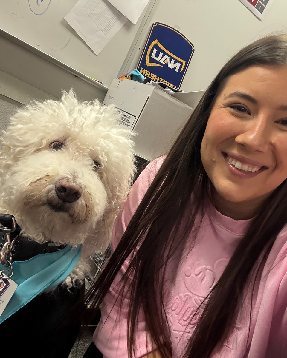 A day in the life of a Clinical Preventionist sometimes includes very good therapy dogs! Happy #workiversary to Bree🐶🎉

Bree makes suicide prevention education approachable and empowering. She has this quiet gift for supporting everyone around her with natural warmth🧡💜💚