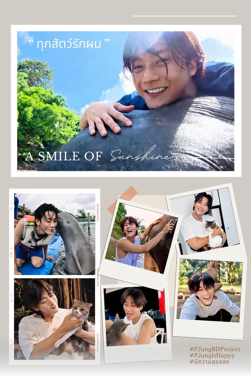 littlekdktfans's tweet photo. #เรื่องเล่าSmileOfSunshine by LittleKdKtFans

“ทุกสัตว์รักโผม" 🤗😸

ทุกครั้งที่ได้ยินพี่จองพูดประโยคนี้ทีไร คนฟังอย่างเราก็อดยิ้มตามไม่ได้ เพราะมักจะมีเหตุการณ์ขำ ๆ เป็นมีมทุกที 😁

ถึงหลายครั้งทุกสัตว์จะไม่ค่อยให้ความร่วมมือ 😅 การสัมผัสด้วยความเอ็นดู ลูบหัว เกาคาง ขี่หลังและเป่า 🌬️ ที่พี่มีให้กับสัตว์ทุกตัวเต็มไปด้วยความอ่อนโยน และเชื่อว่าทุกสัตว์สัมผัสได้ถึงความใจดีนั้น

สัตว์ไม่ได้อ่านใจพี่จองได้ แต่เค้ารับรู้ถึงความใจดีได้จากพฤติกรรมของพี่...คนที่ใจเย็น อ่อนโยนและมักจะส่งสัญญาณเหล่านี้ออกไปโดยธรรมชาติ 🐶🐱🐘

หลายครั้งที่...โผมรักสัตว์ แต่สัตว์ก็ไม่ได้รักตอบ 😅 แต่เราก็ไม่เคยเห็นพี่โมโหหรือทำร้ายสัตว์นั้นเลยสักครั้ง เพราะสัจธรรมโลกของความรัก อาจไม่ใช่การได้รับรักกลับมาเสมอไป แต่อยู่ที่การมอบให้ด้วยหัวใจบริสุทธิ์ 🤍
หัวใจที่อ่อนโยนแบบนี้แหละค่ะ ที่ทำให้พวกเราอยากส่งต่อสิ่งดี ๆ เหมือนพี่จอง 

พวกเรา LittleKdKtFans จีงขอเชิญชวนร่วมสะพานบุญกับโปรเจกต์ "Happy 37th P'Jung Birthday" ในโครงการ "Little Miracle ปาฏิหาริย์แห่งชีวิต ช่วยน้องพิชิตมะเร็ง" เพื่อให้น้อง ๆ ได้มีโอกาสหายจากอาการเจ็บป่วย และเติบโตไปมอบความรักให้กับสัตว์และผู้คนรอบตัวด้วยหัวใจที่แข็งแรง อ่อนโยน และสดใส เหมือนพี่จองของเรา 

เชื่อว่าสักวันหนึ่ง…น้อง ๆ จะได้พูดด้วยรอยยิ้มเหมือนกันว่า“ทุกสัตว์รักโผม” 😊

ขอบคุณทุกน้ำใจที่ร่วมเป็นส่วนหนึ่งของโปรเจกต์นี้ ทุกยอดบริจาค ทุกการแชร์ และทุกกำลังใจคือพลังอบอุ่นที่เราจะส่งต่อให้ถึงน้อง ๆ และพี่จองด้วยหัวใจดวงเดียวกันค่ะ🙏🏻🩷

📍https://t.co/4wUIOJgSSb

#PJungBDProject
#PJungIsHappy
#มีความสุขจอง
#พี่จอง