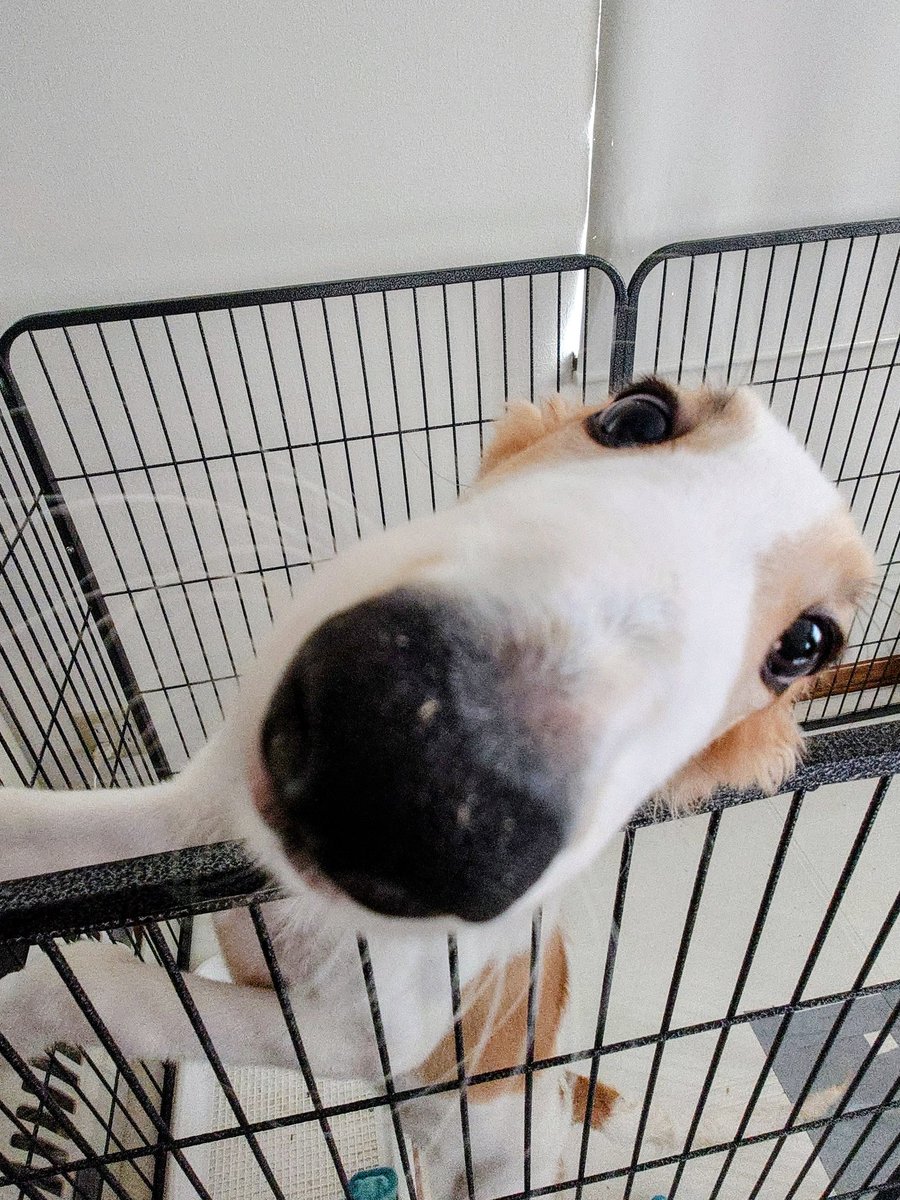 おはようございます
昨日は疲れてぐっすり
今日も朝からバタバタ
パート開始までもう少し！
やる事やっちゃう