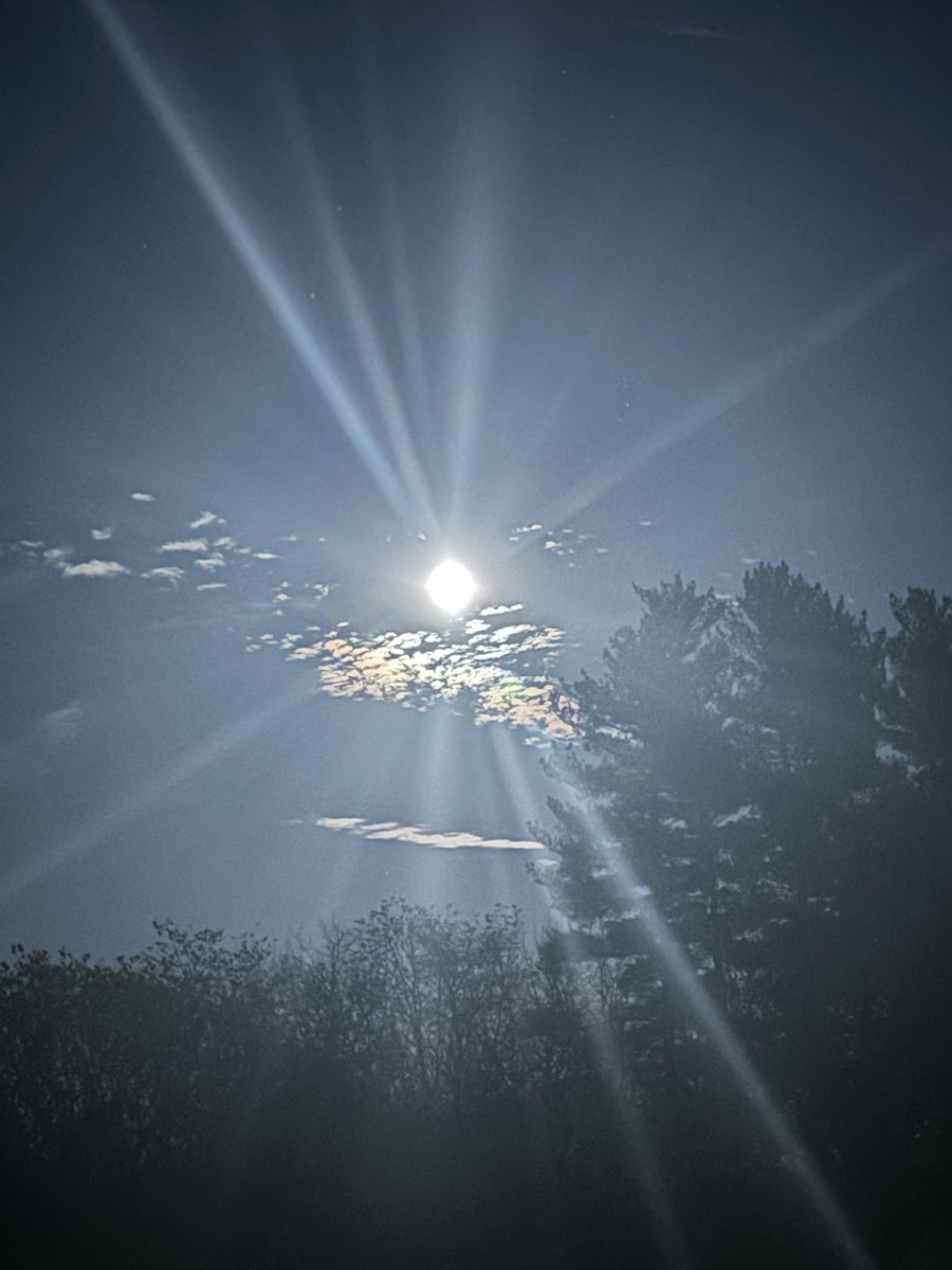 steven_pee51332's tweet image. Does anyone have any idea what it means to go to the moon and back 🤗