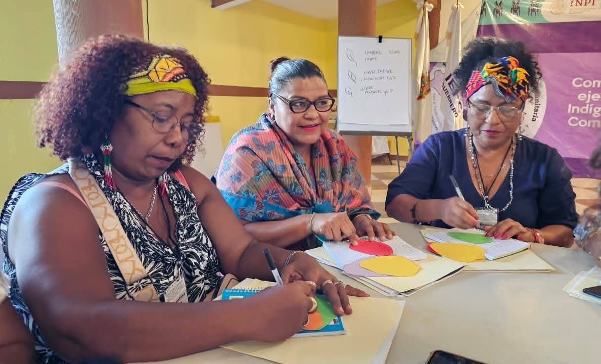#Escuela Regional de Educación Comunitaria para el Fortalecimiento del Ejercicio de los Derechos de las Mujeres Indígenas y Afromexicanas, Autoridades Comunitarias, Municipales y Defensoras de Derechos Humanos, impulsada por el INPI y el IEPC-Gro ✅💜