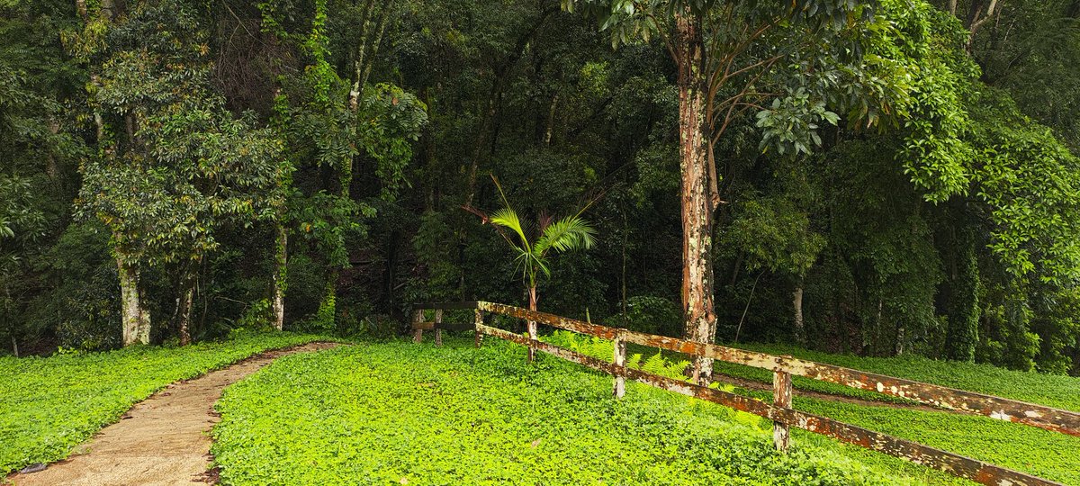 TrOllegario de Almeida (@trolegario) on Twitter photo 