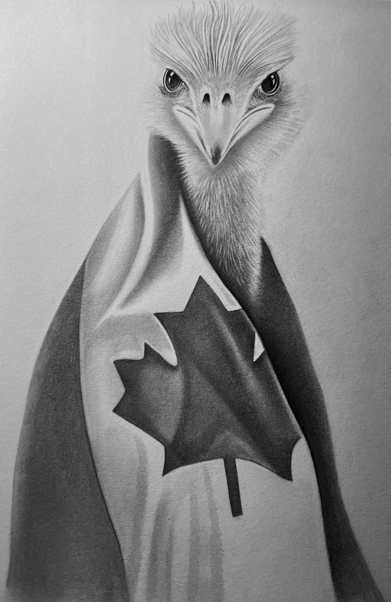 Graphiteartz's tweet image. BC Ostrich Farm