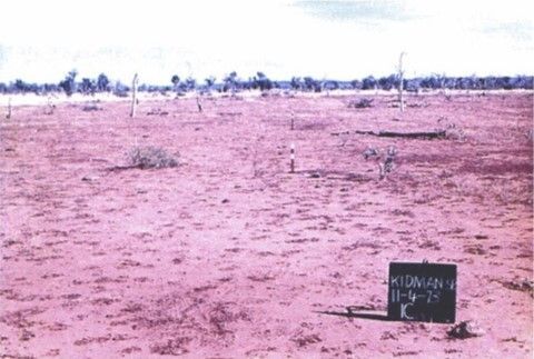 TERN_Aus's tweet image. 🔍#DataDiscovery | Kidman Springs Long Term Exclosure Study - Vegetation Changes

The data are herbage biomass measured inside cattle-proof exclosures &amp;amp; on adjacent grazed areas on two sites of different soils at Kidman Springs, NT between 1973 &amp;amp; 2002.

📊 buff.ly/zAIUgdx