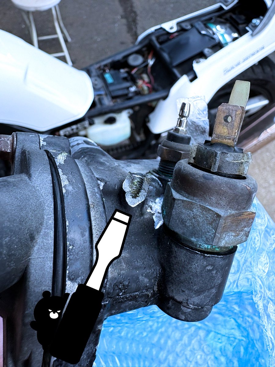 黒熊支店長 on X