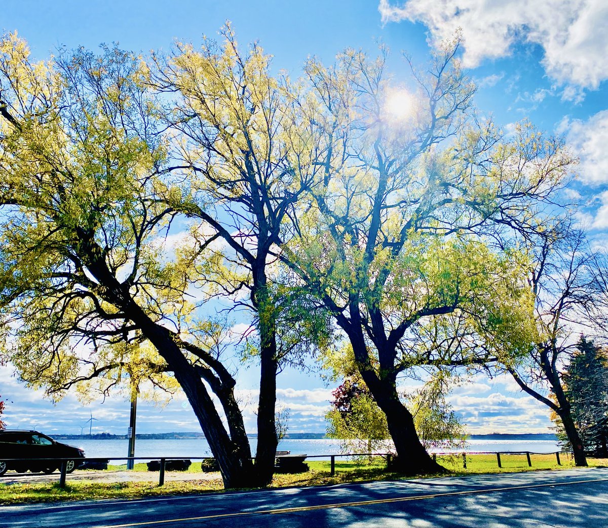 VisibleThink's tweet image. Autumn hanging in, here in the village
#lakeontario