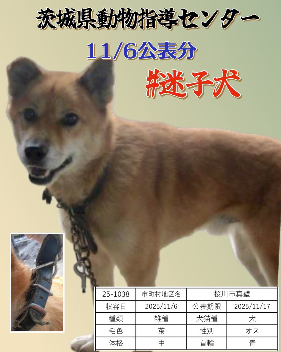 みーちゃん on X