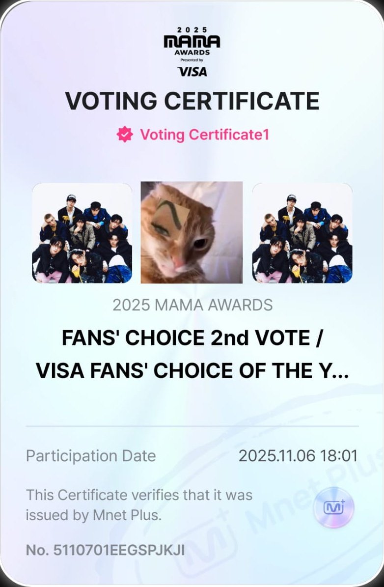 STRAY KIDS LATAM PROJECT tweet media