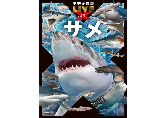 めぐたん様 中華へいぞう(めぐたん) on X