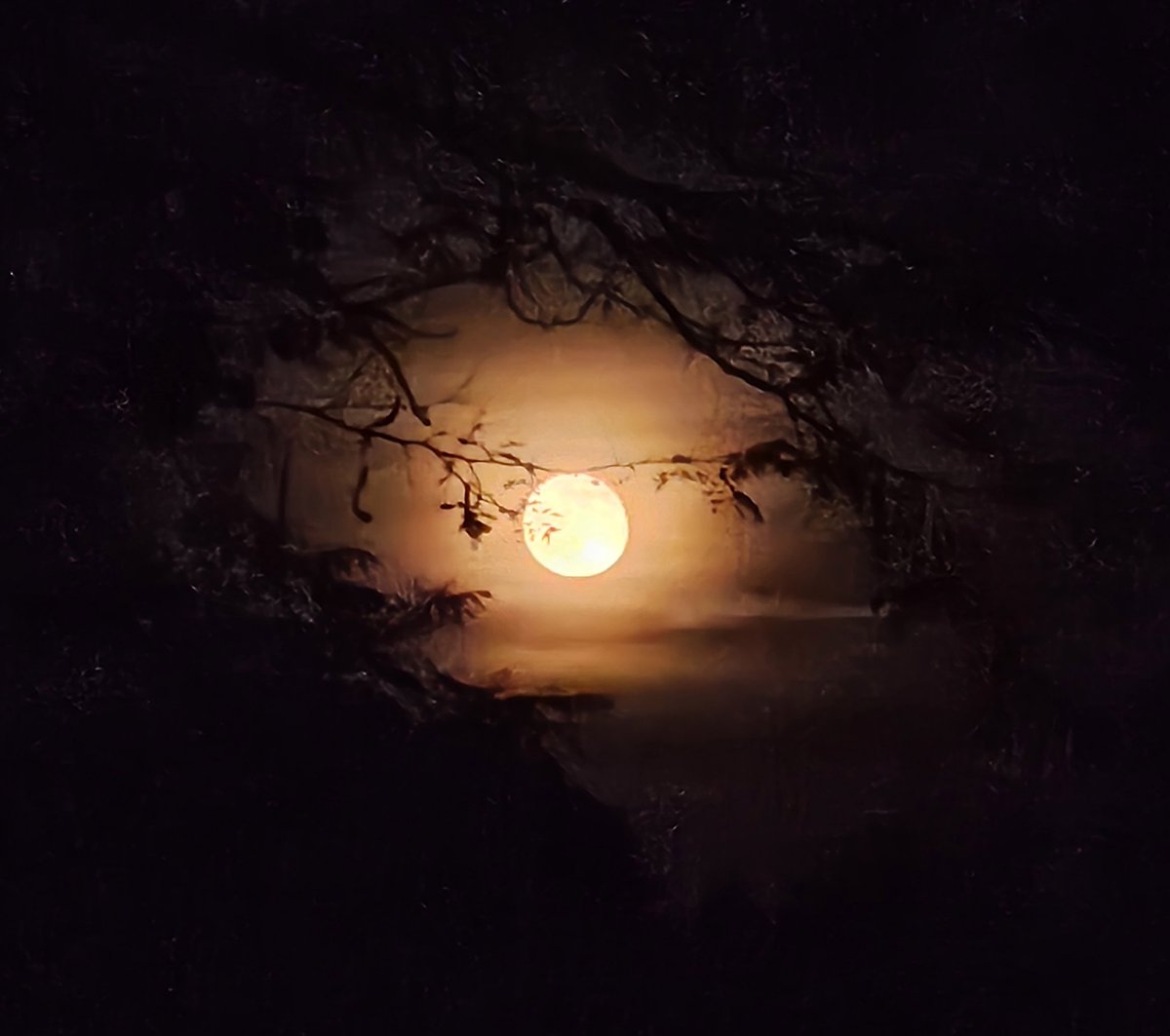 CTurnCreations's tweet photo. Took this shot of the moon, thought it was dope. #nofilter https://t.co/YhI7RJmduI