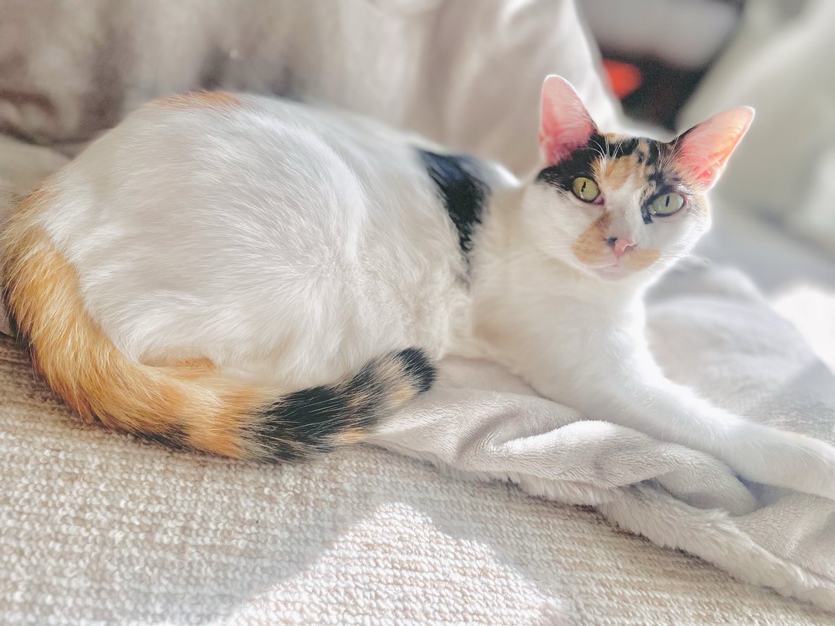 ゆみこページ 杉目 優美子♡̸᩠TIGA☪️ (@YUMIKO_DARTS) / Posts / X