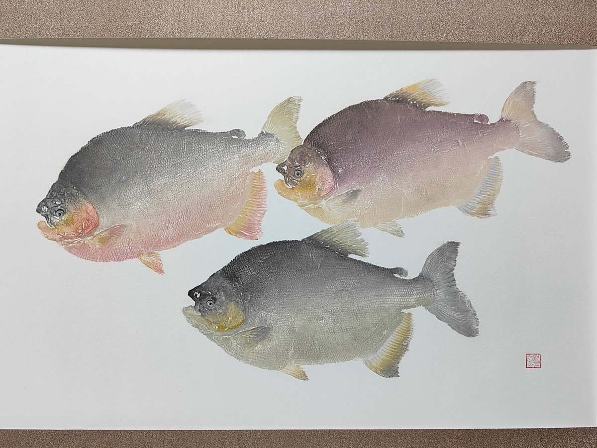 へんな魚おじさん (@_Sakana_Ojisan) / Posts / X