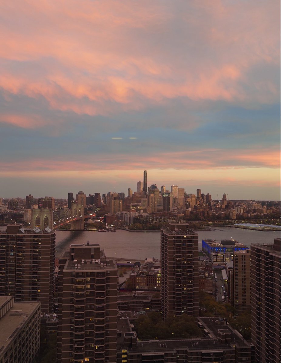 MattEpstein16's tweet image. Just move to nyc and it will change your life