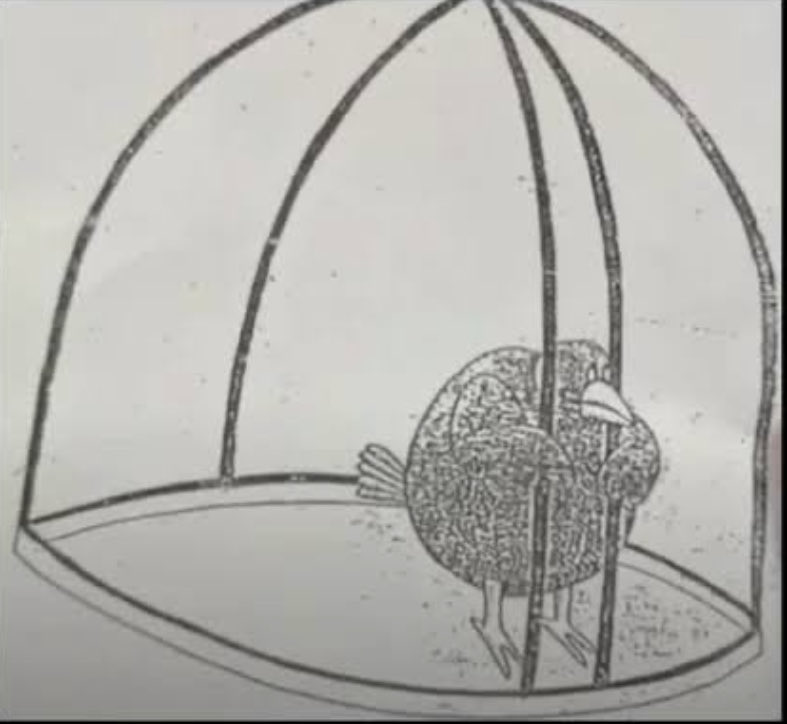 idaxotd's tweet image. how it feels complaining about heart palpitations, headaches, and stomach issues as if under eating and over exercising didn’t contribute to it