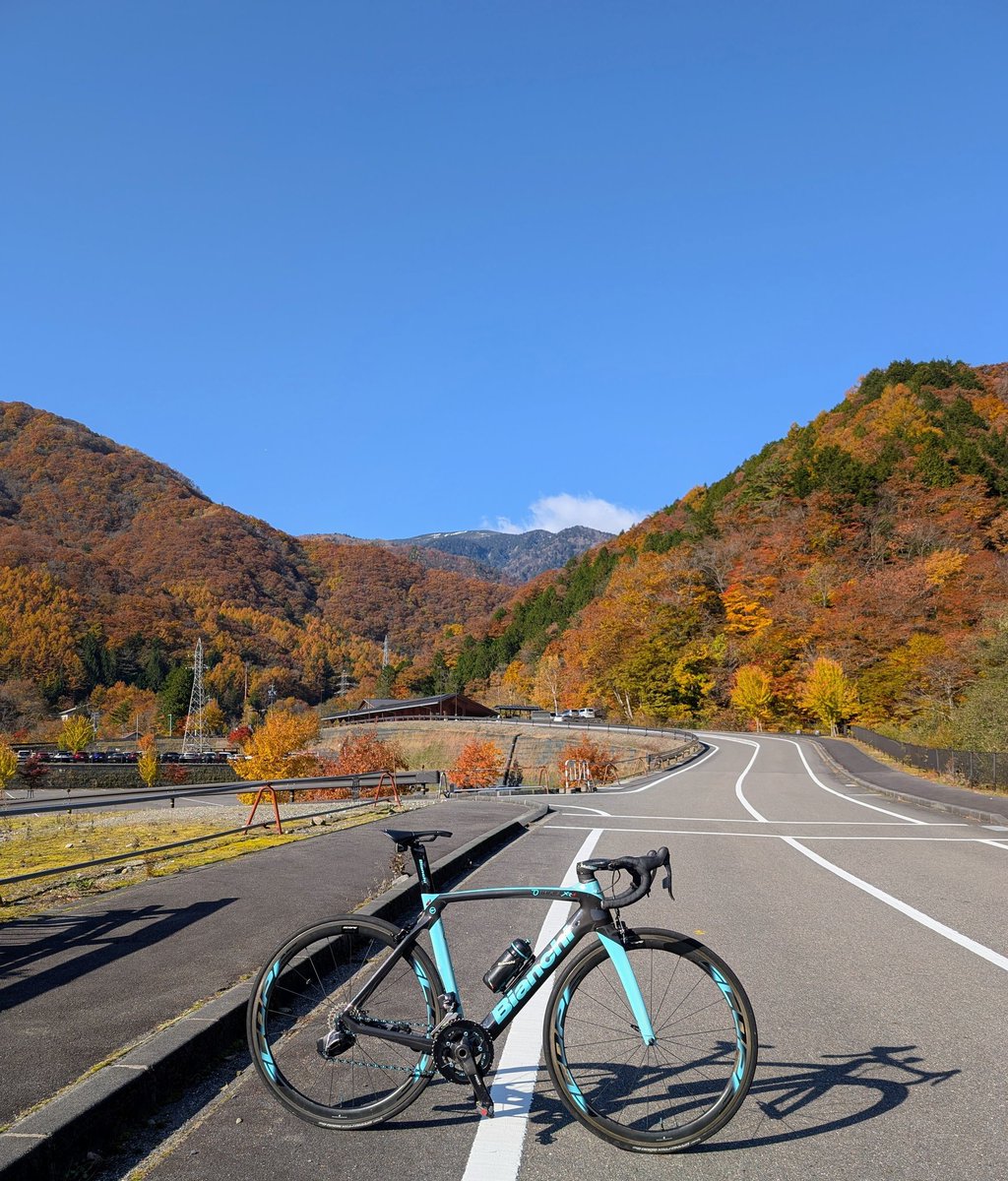 さと様 サト on X